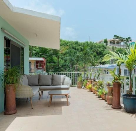 Casa Mia Guest House Rincón Eksteriør bilde