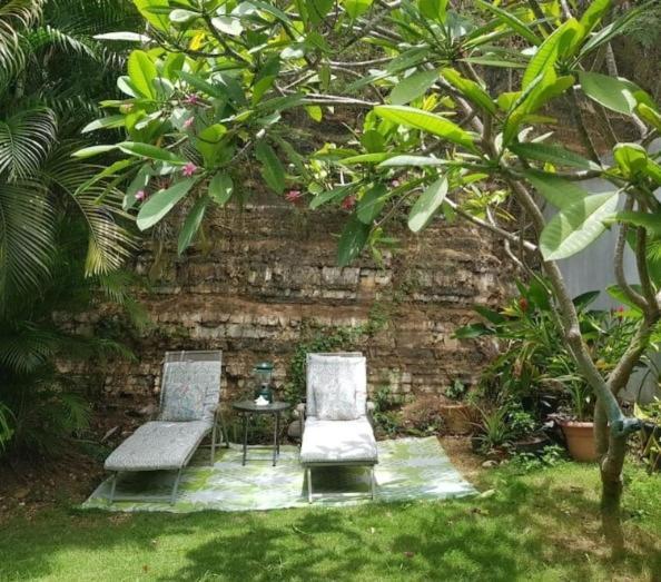 Casa Mia Guest House Rincón Eksteriør bilde