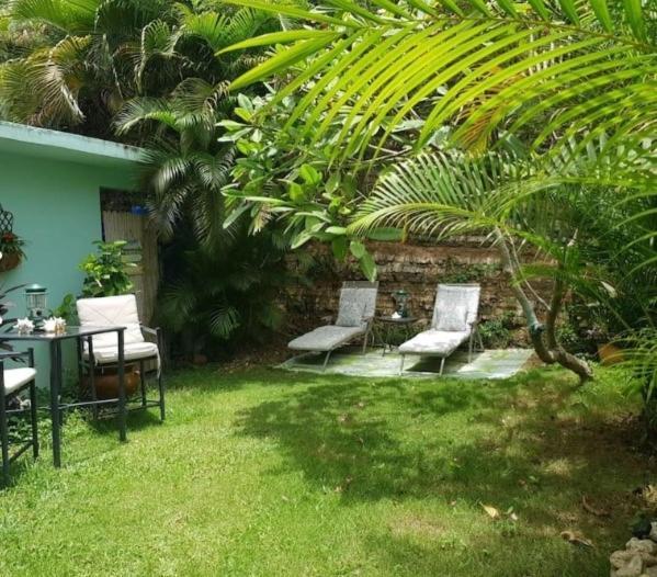 Casa Mia Guest House Rincón Eksteriør bilde